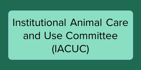 IACUC Frequently Asked Questions