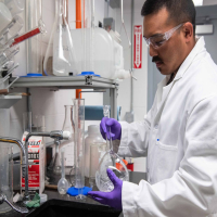 Experimental Procedures