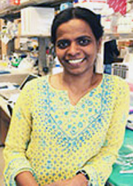Karthikeyani C. 