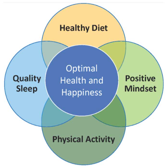 Lifestyle Wellness