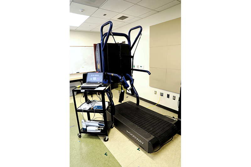 Spinal Manual Therapy Lab2
