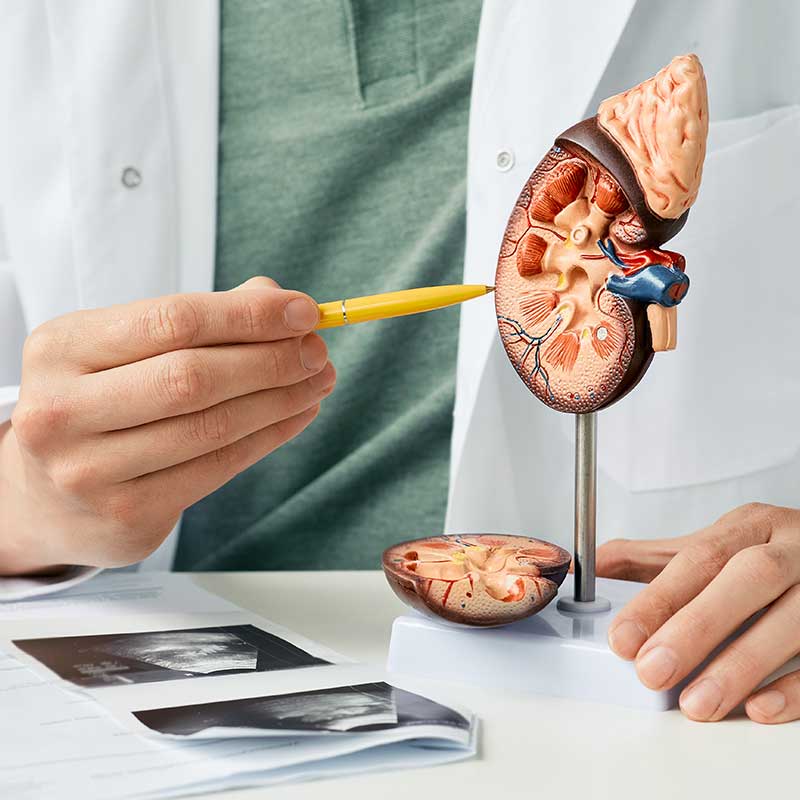 George M. O’Brien Kidney Resource Alliance