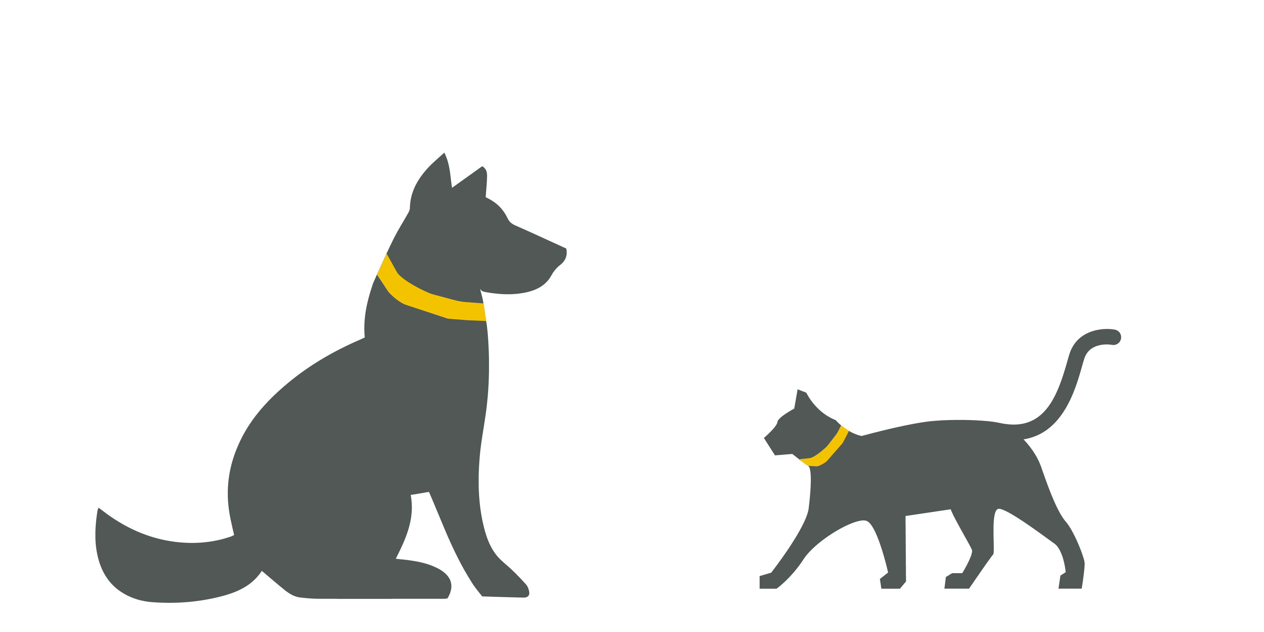 assistance animals graphic