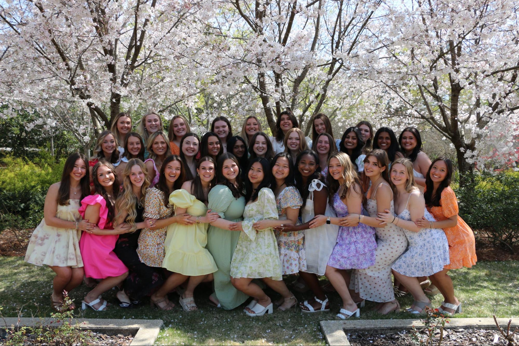 Panhellenic Executive board 2025