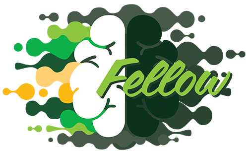 Mental Health Fellow